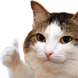 thumbs