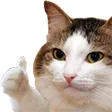 thumbs