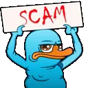 rSCAM