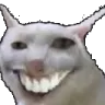 CatSmile