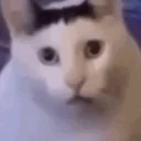 CATHUH CATHUH