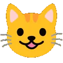 cat_lol