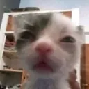 wha