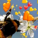 bumbluv1