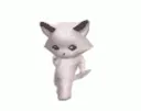 cat_dance