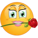 chewingrosetoy