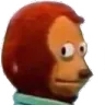 monkeylook