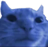 catblue