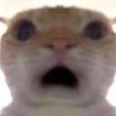 D7_Wow Discord emoji