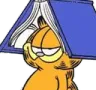 garfstudy