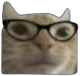 nerdcat