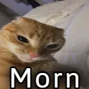 Morn