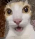 Huh