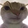 suspisoos