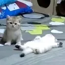 ded