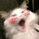emoji_23