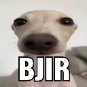bjir
