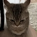 icouldkillyou