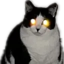 evielaser