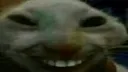 XDD XDD