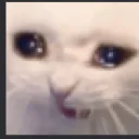 PKWSH