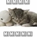 eepycat