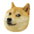 itsgyoDogchocked