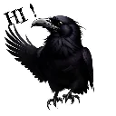 hello_raven