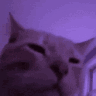 catravejam