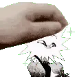 petLoop