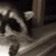 highfive highfive