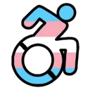 transdisabled