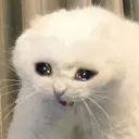 ahh