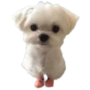 emoji_218
