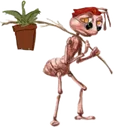 crant