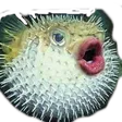 minesuPuffer