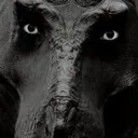 peekaboo