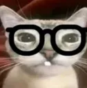 wz_3cnerd