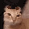 kit_evil