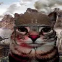 kit_War