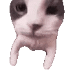 kissy Discord emoji