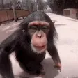 monkeKiss monkeKiss