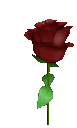 Red Rose RedRose Discord Emoji