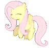 fluttershy