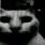 very_evil
