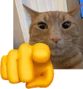AwtdCatPointAtYou