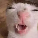 crunch