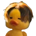 Duck_Bhai
