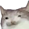 thonk