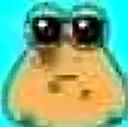 poucry